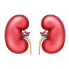 Nephrology